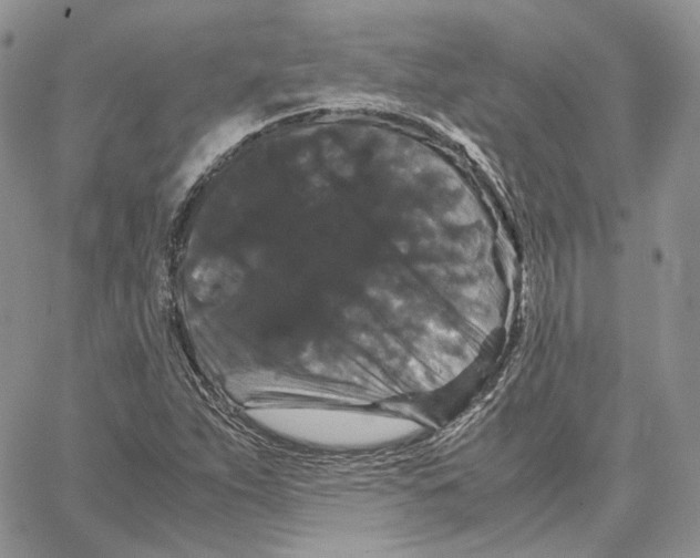 X0000062831263200602031528