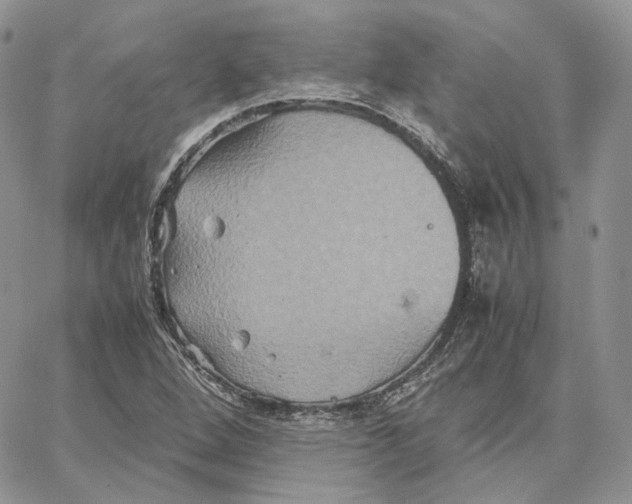 X0000062831264200602031528