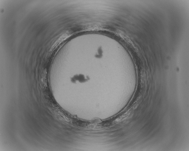 X0000062831265200602031528