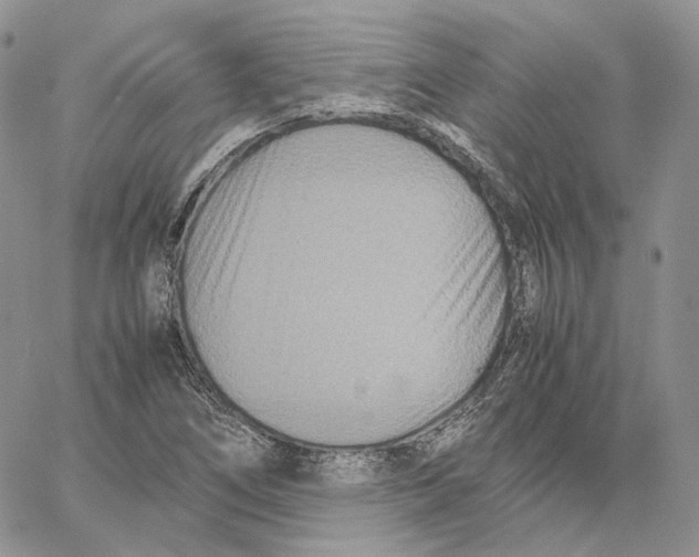 X0000062831266200602031528