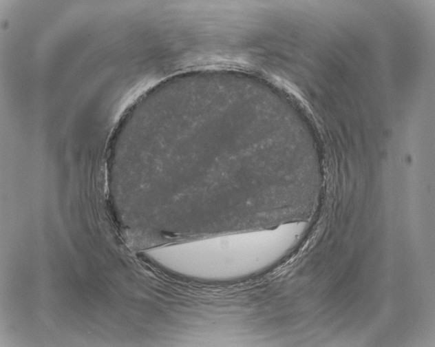 X0000062831267200602031528