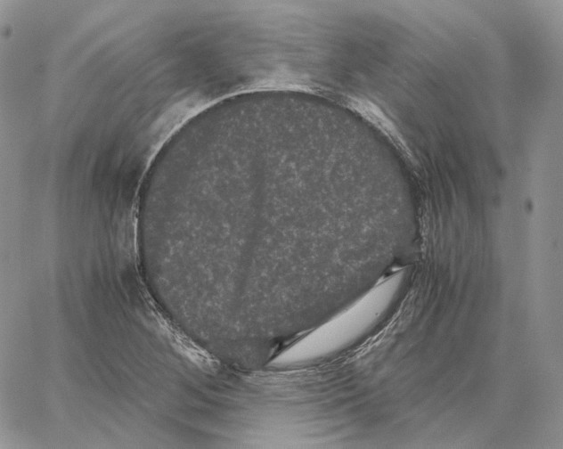 X0000062831268200602031528