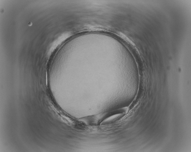 X0000062831269200602031528