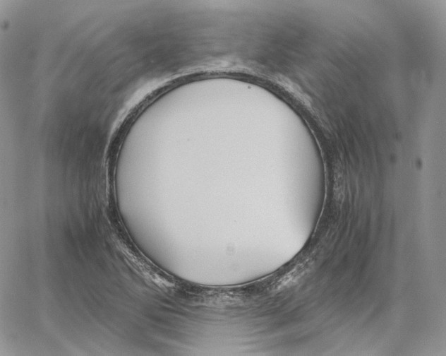 X0000062831270200602031528