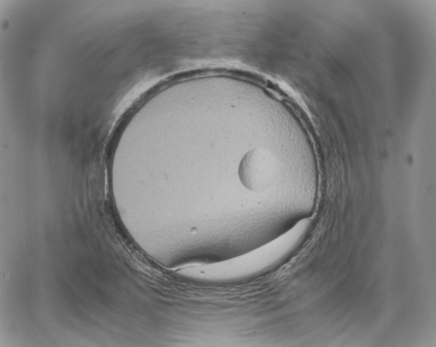 X0000062831271200602031528