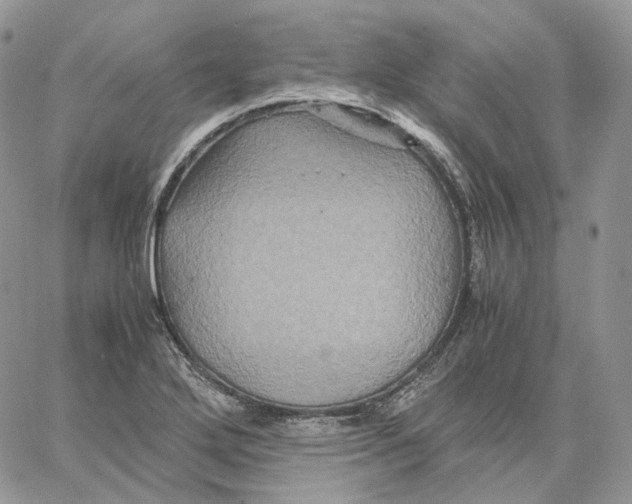 X0000062831272200602031528