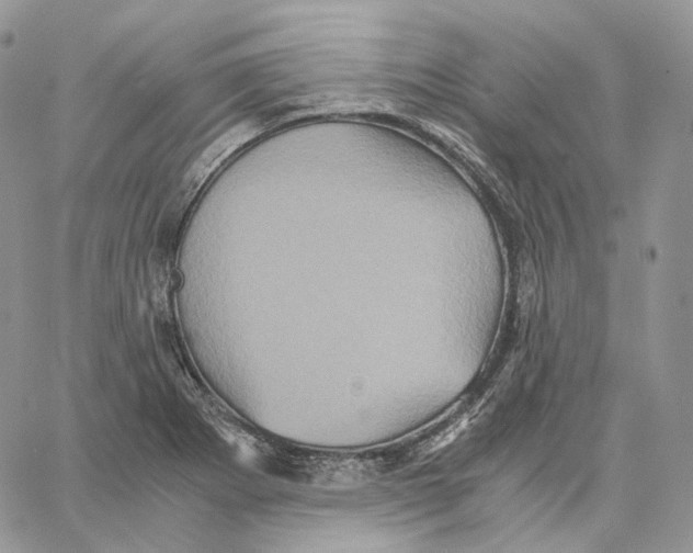 X0000062831273200602031528