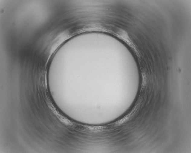 X0000062831274200602031528