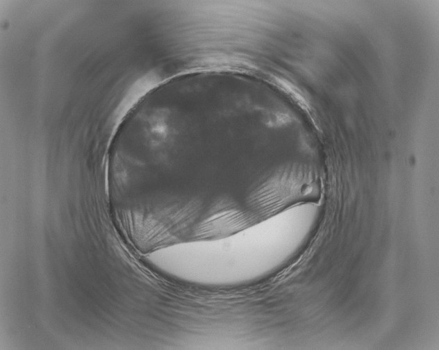 X0000062831275200602031528