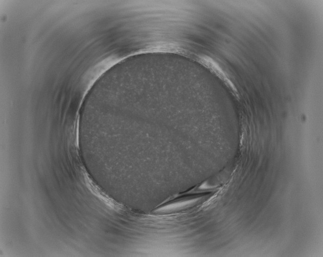 X0000062831276200602031528