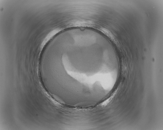 X0000062831277200602031528