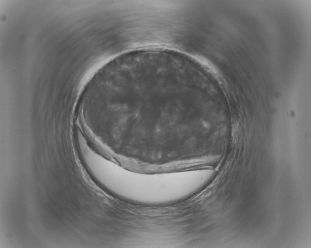 X0000062831279200602031528