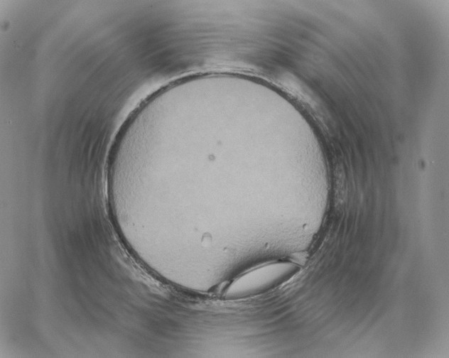 X0000062831280200602031528