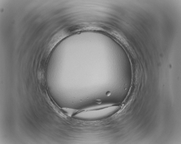 X0000062831281200602031528