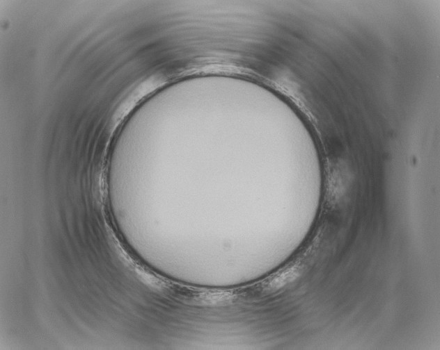 X0000062831282200602031528