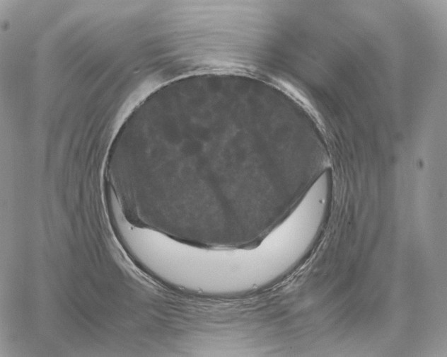 X0000062831283200602031528