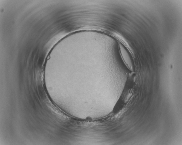 X0000062831284200602031528