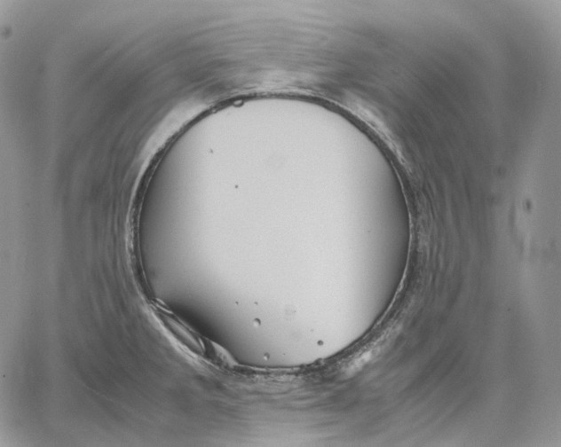 X0000062831285200602031528