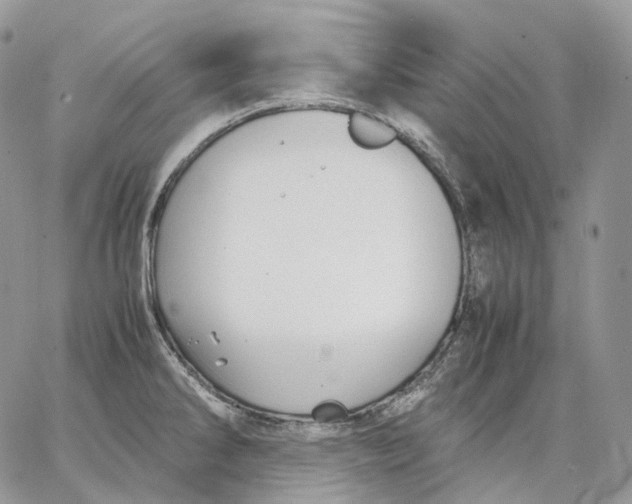 X0000062831286200602031528