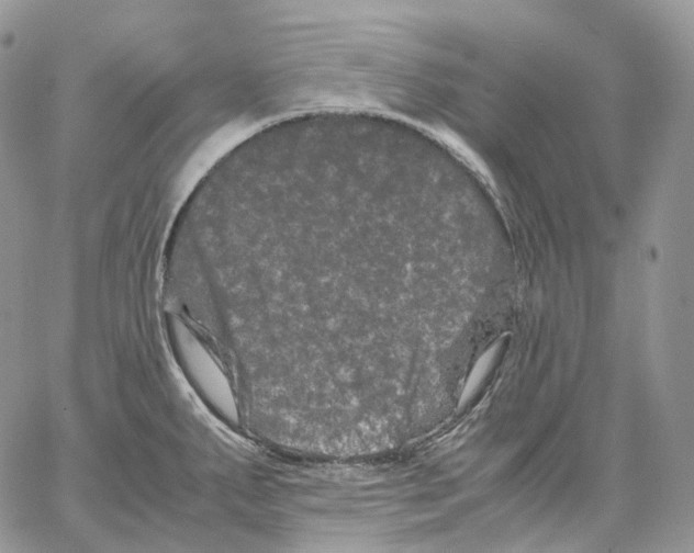 X0000062831287200602031528