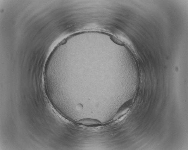 X0000062831288200602031528