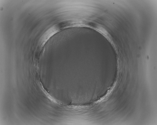 X0000062831289200602031528