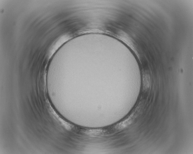 X0000062831290200602031528