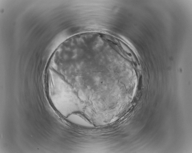 X0000062831291200602031528