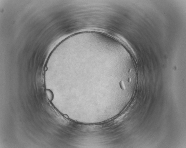 X0000062831292200602031528