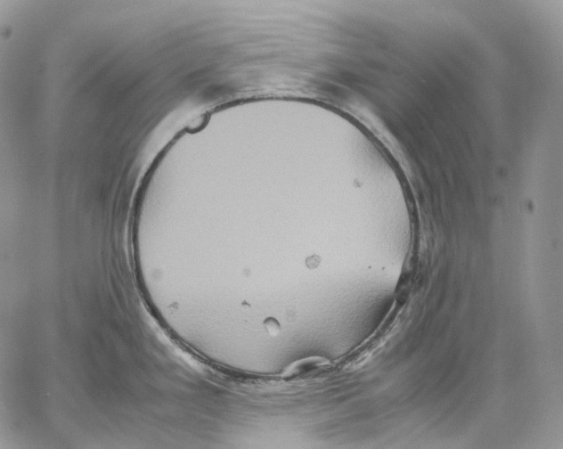 X0000062831293200602031528