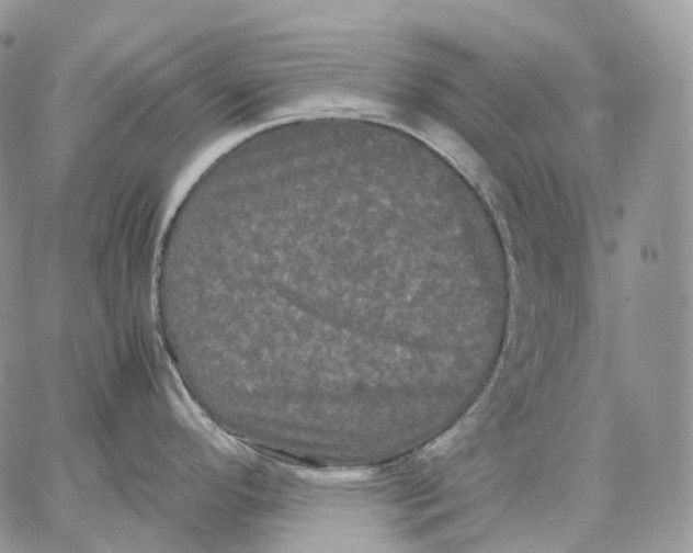 X0000062831296200602031528