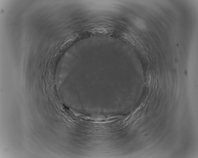 X0000062831297200602031527