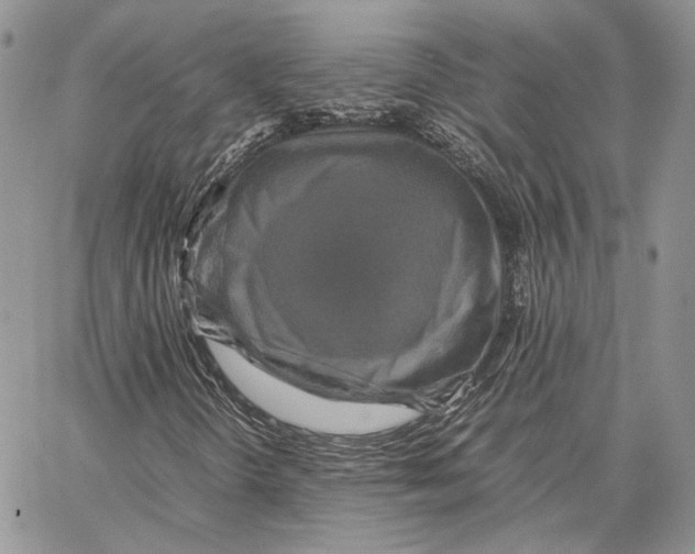 X0000062831298200602031527