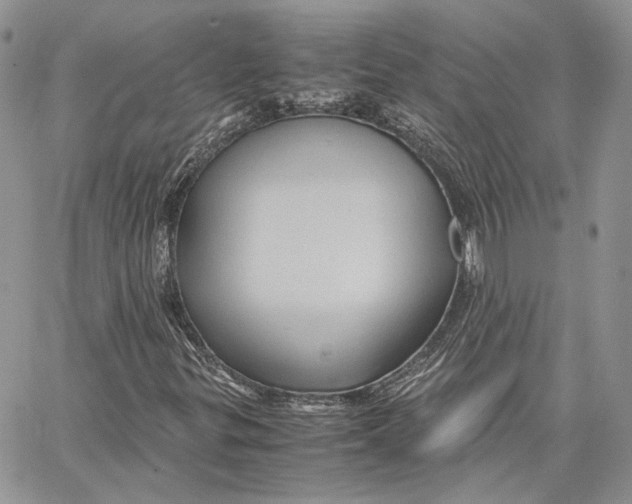 X0000062831299200602031527