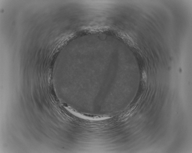 X0000062831300200602031527