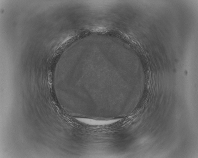 X0000062831301200602031527