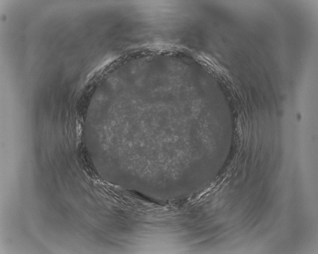 X0000062831302200602031527