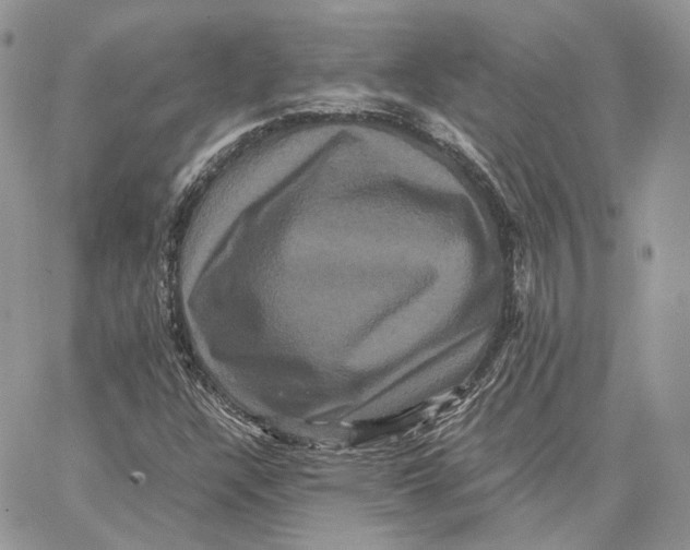 X0000062831304200602031527