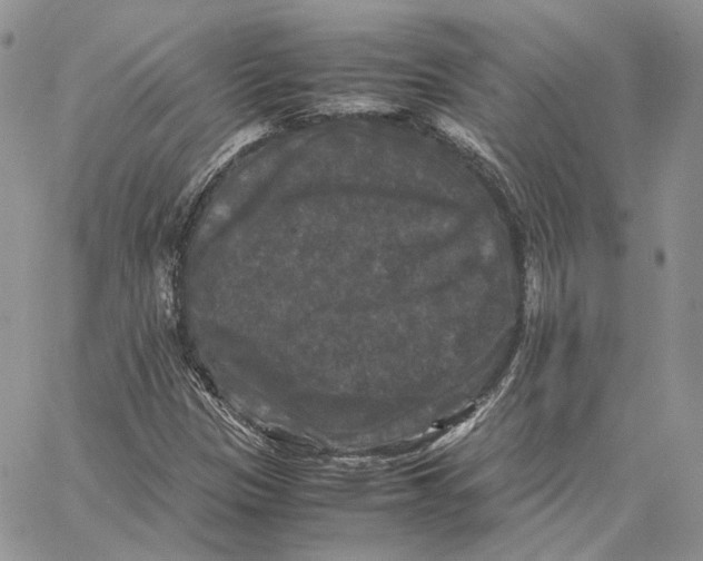 X0000062831305200602031527