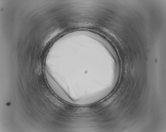 X0000062831306200602031527