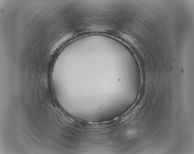 X0000062831307200602031527