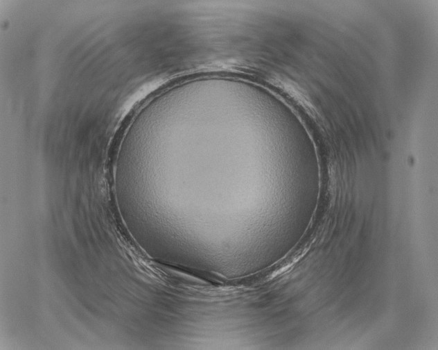 X0000062831308200602031527