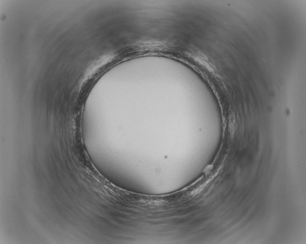 X0000062831309200602031527