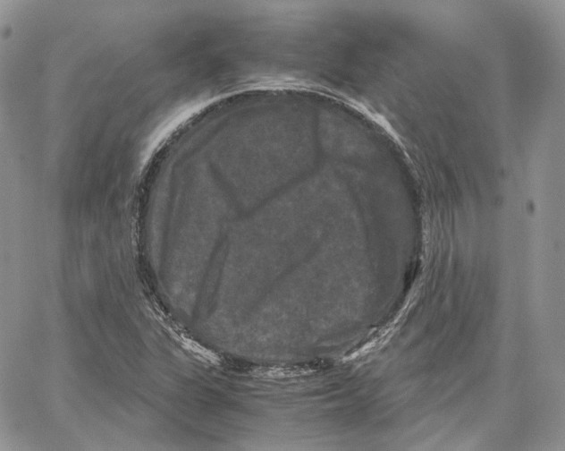 X0000062831311200602031527