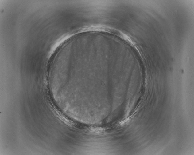 X0000062831312200602031527