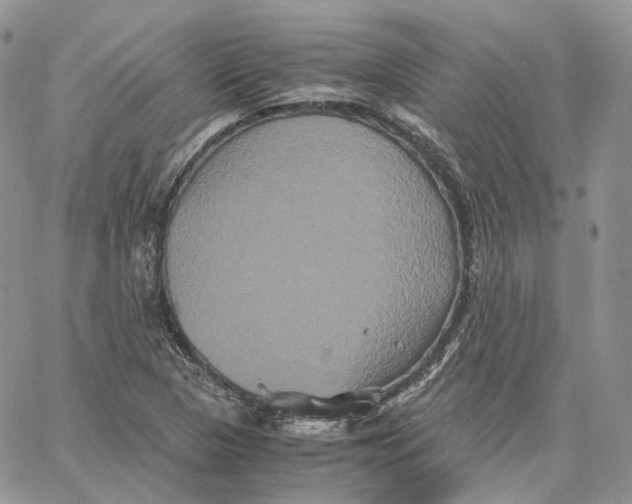 X0000062831313200602031527