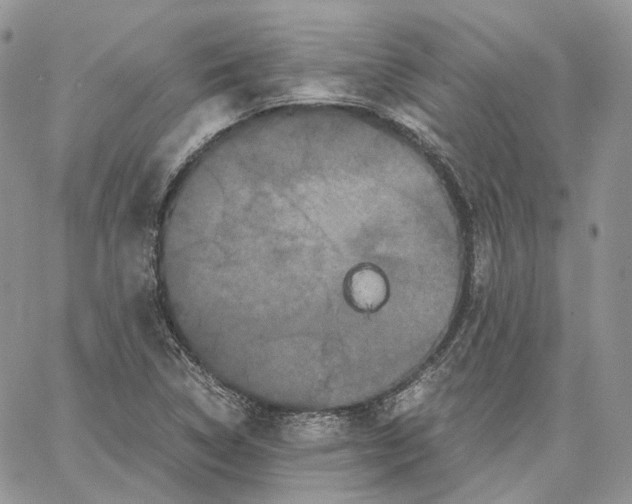 X0000062831314200602031527