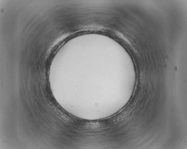 X0000062831315200602031527