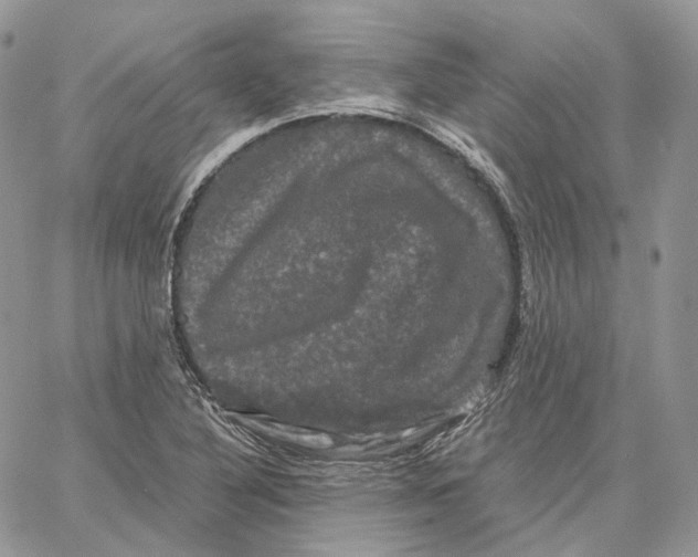 X0000062831316200602031527