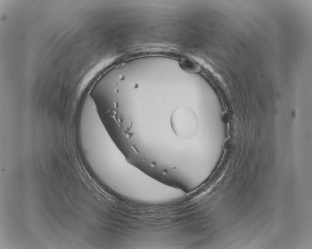 X0000062831317200602031527